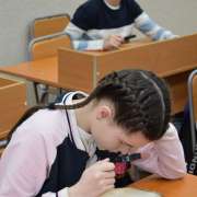 Неделя науки, день второй: брейнринг по истории, определяем качество питьевой воды и знакомимся с редкими животными Приморья