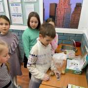 Неделя наук в начальных классах: знакомимся с химией, биологией, географией  