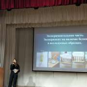 Ученики 9 класса Международной лингвистической школы защитили исследовательские проекты