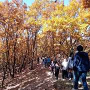 Ученики 8 классов Международной лингвистической школы посетили Краснояровское городище под Уссурийском  